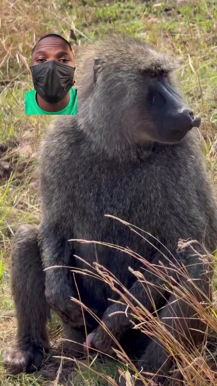 @Arojinle