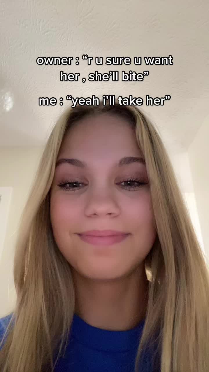 @katttt