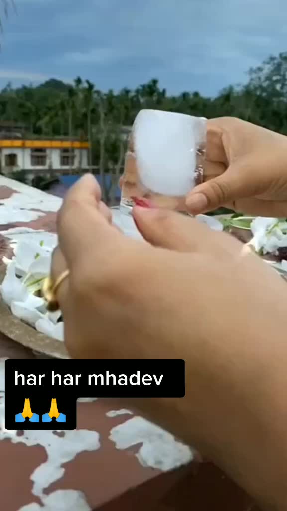 @13_vivek