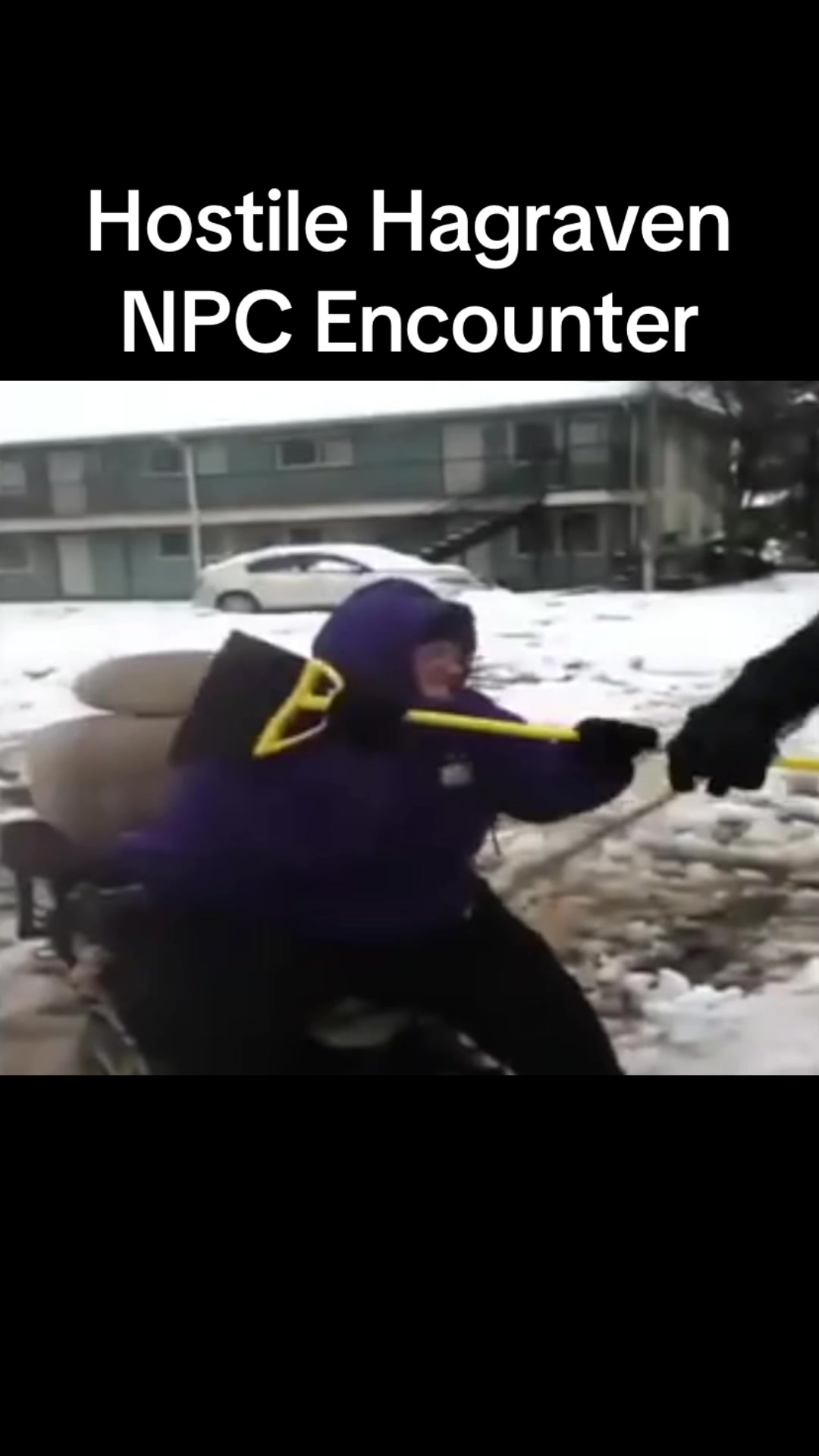 @npcs_of_earth