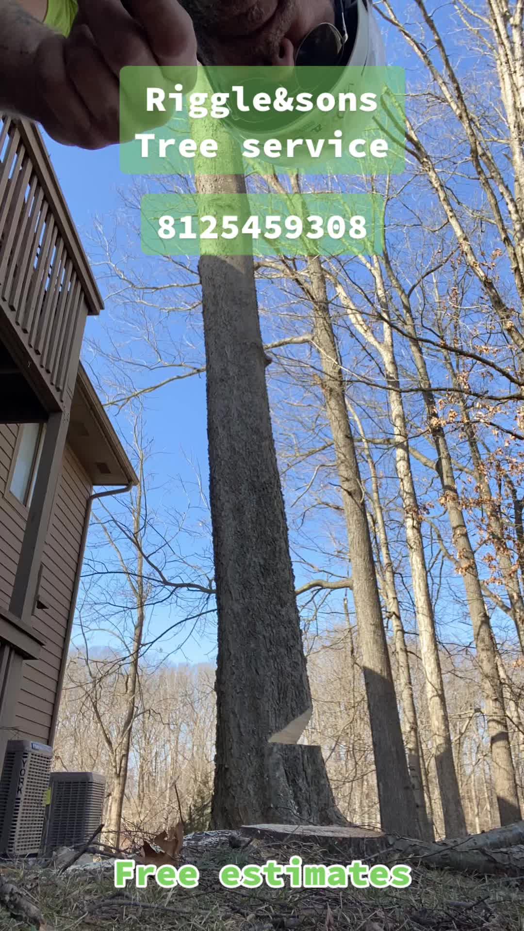@Treeman45