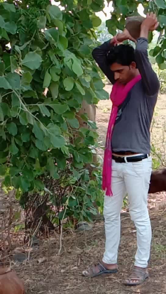 @vishnukumar