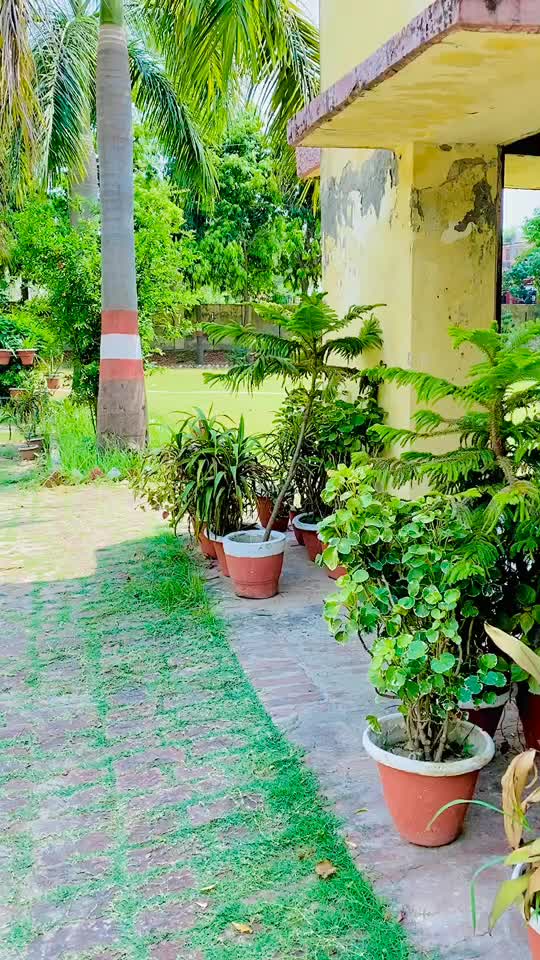 @raunak_0044