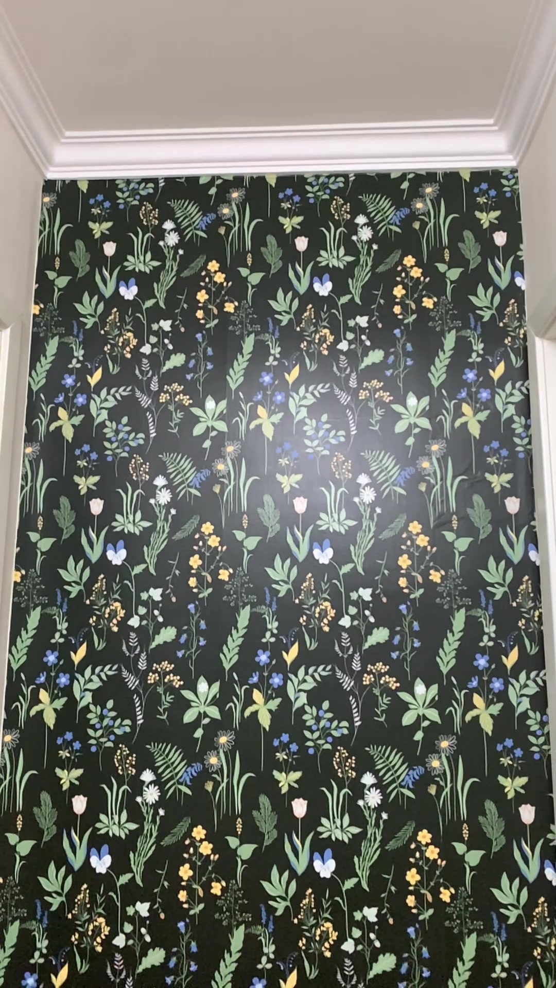 @hamyeewallpaper