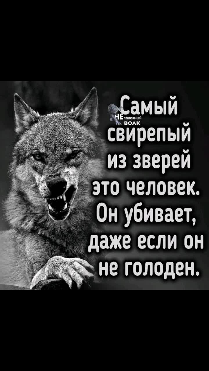 @оля