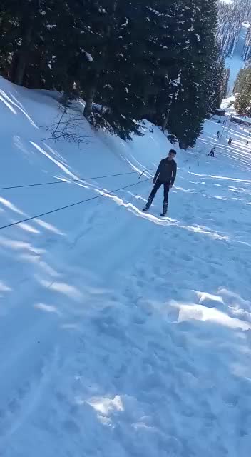 @mustafa Gül