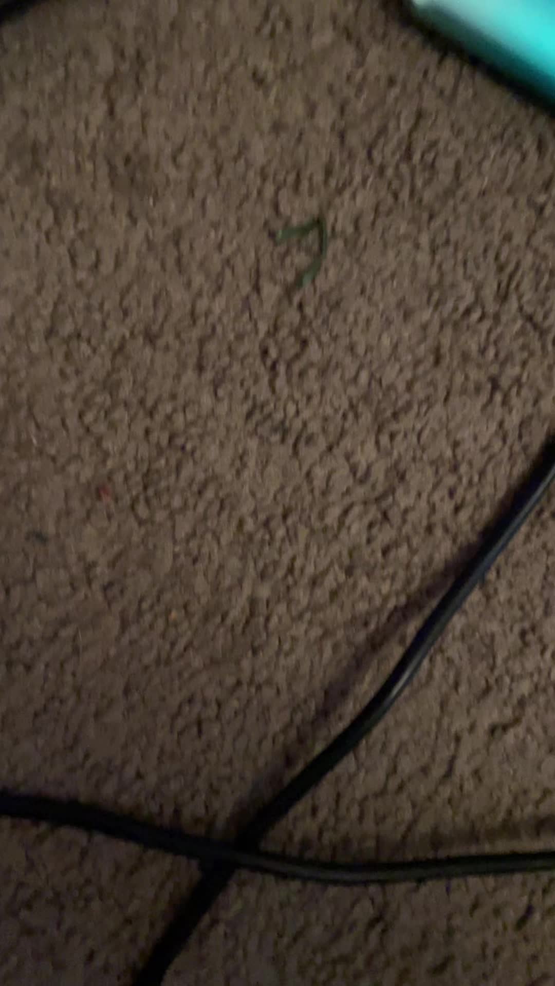 @randomness2678