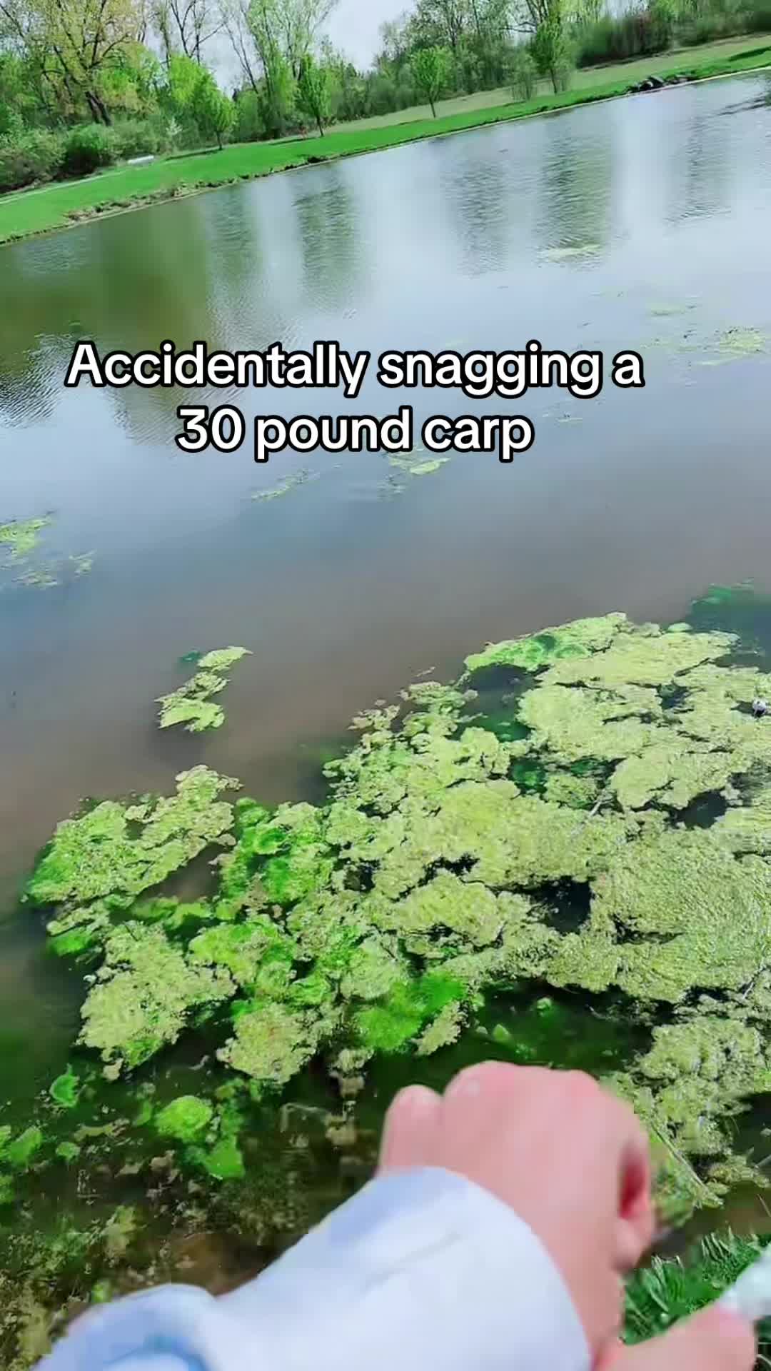 @CoryCatchem