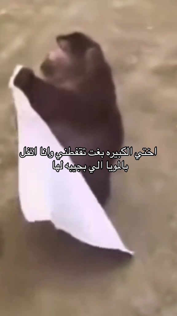 @ريمان