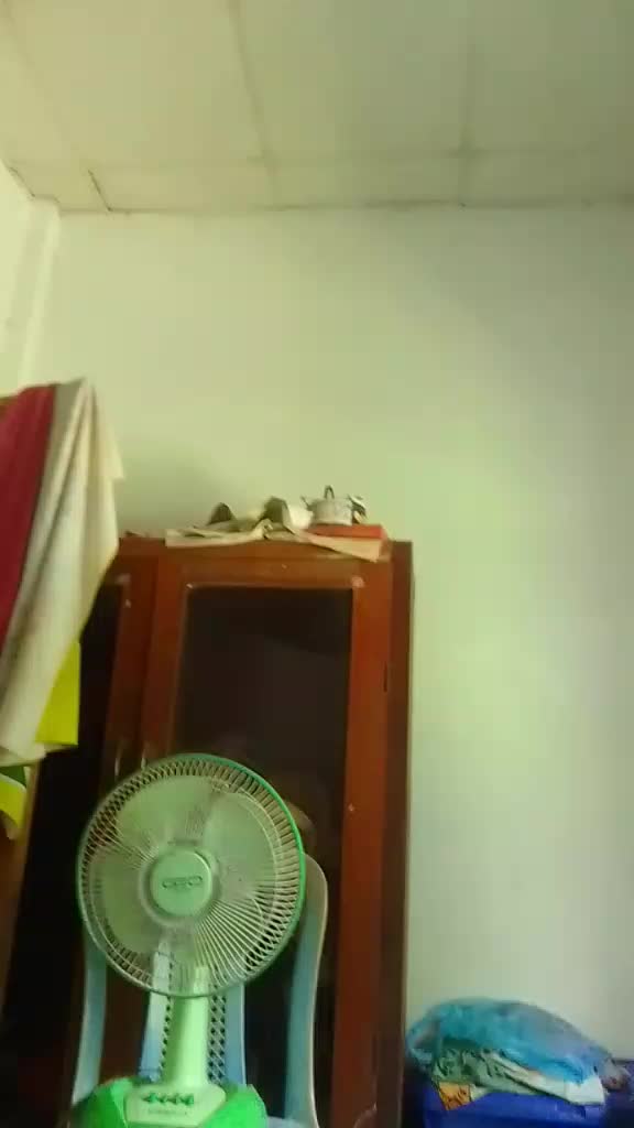@mamasai