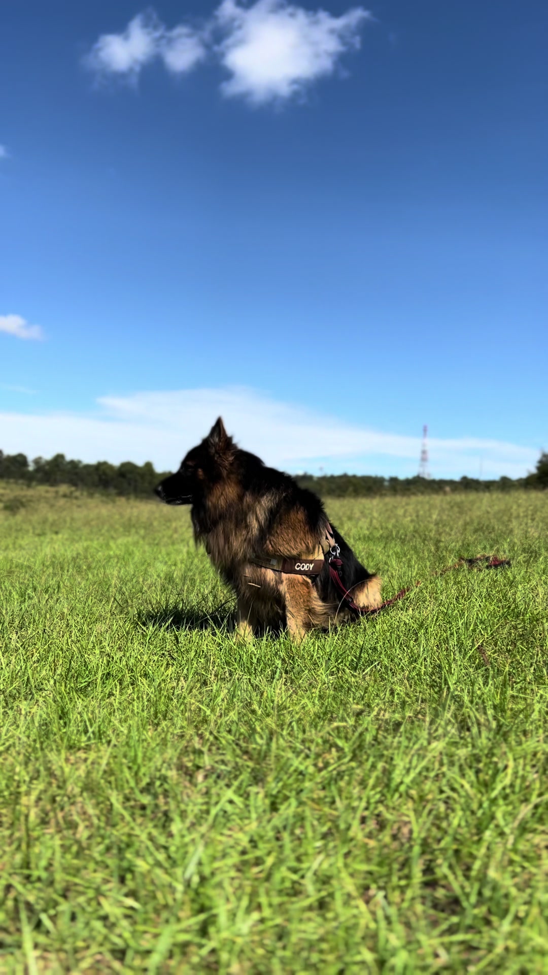 @Cody & Kitana