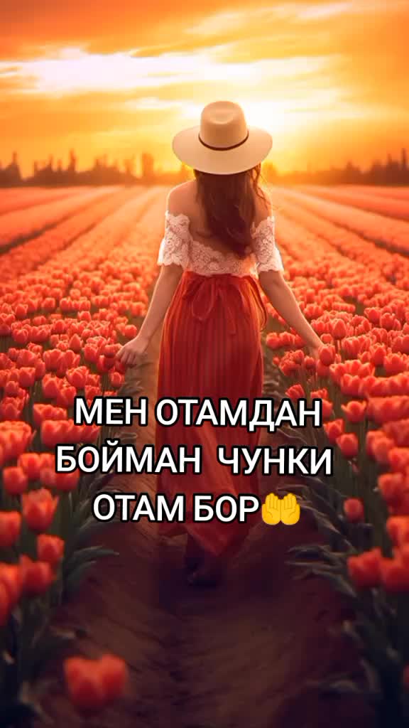 @user02531394913