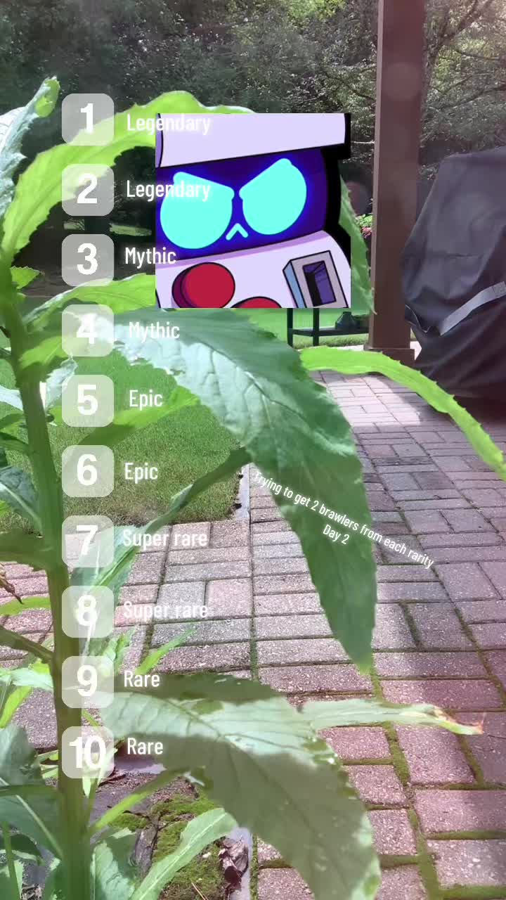 @๐๐ข๐ .๐ฉ๐จ๐ฉ๐ฉ๐ขใทโโ ๏ธ๏ธ