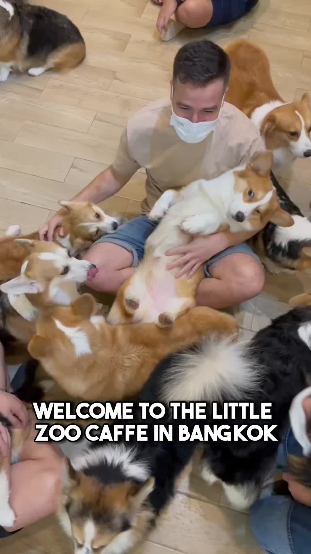 @Digital nomad