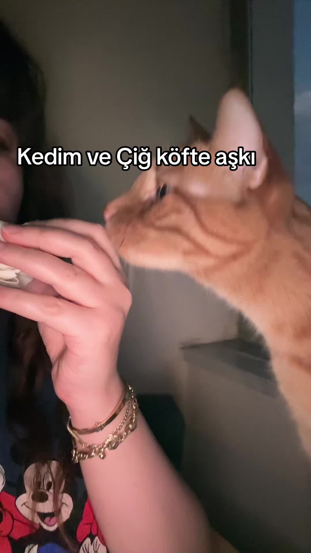 @Paşa Bebek
