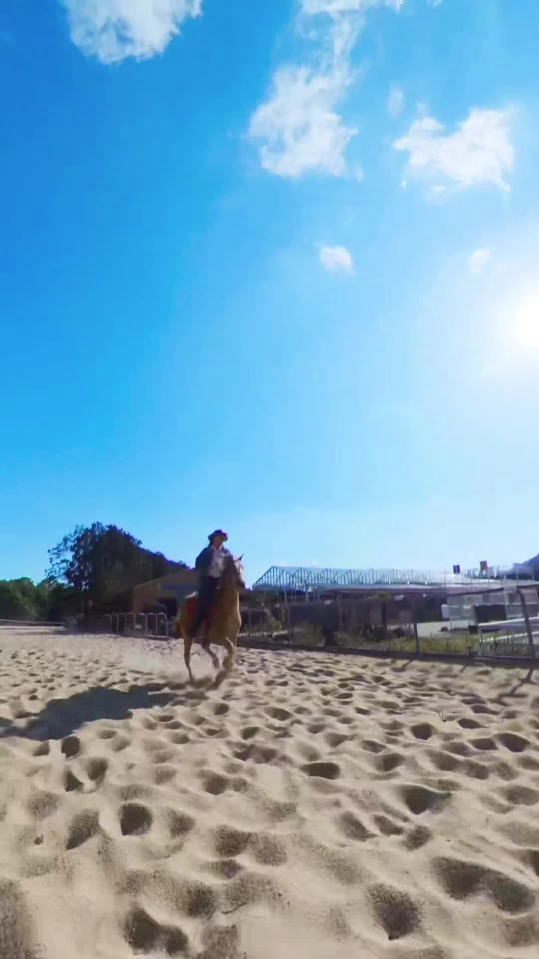@🐎타는바린이🏍