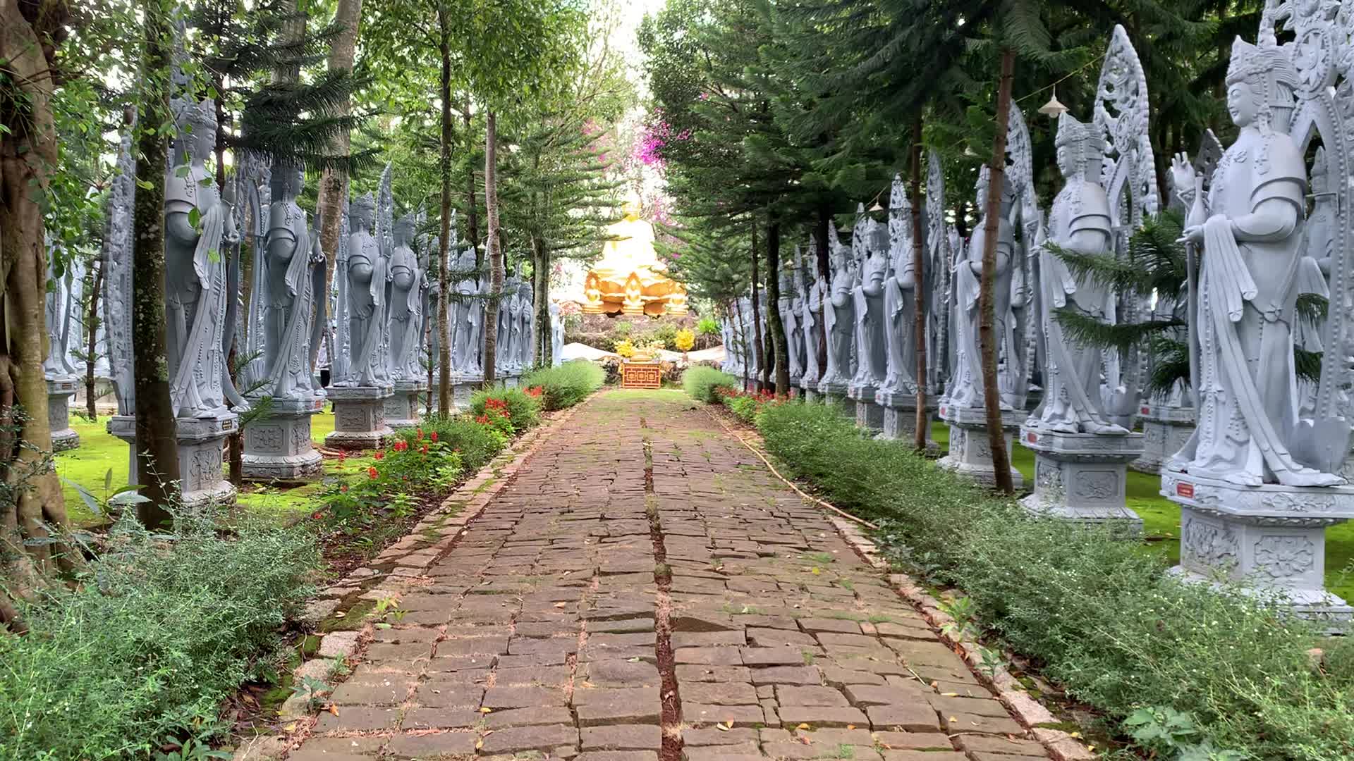 @Alice Trương