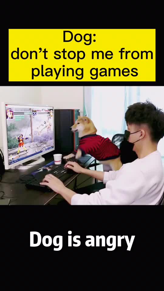 @user6203380714964