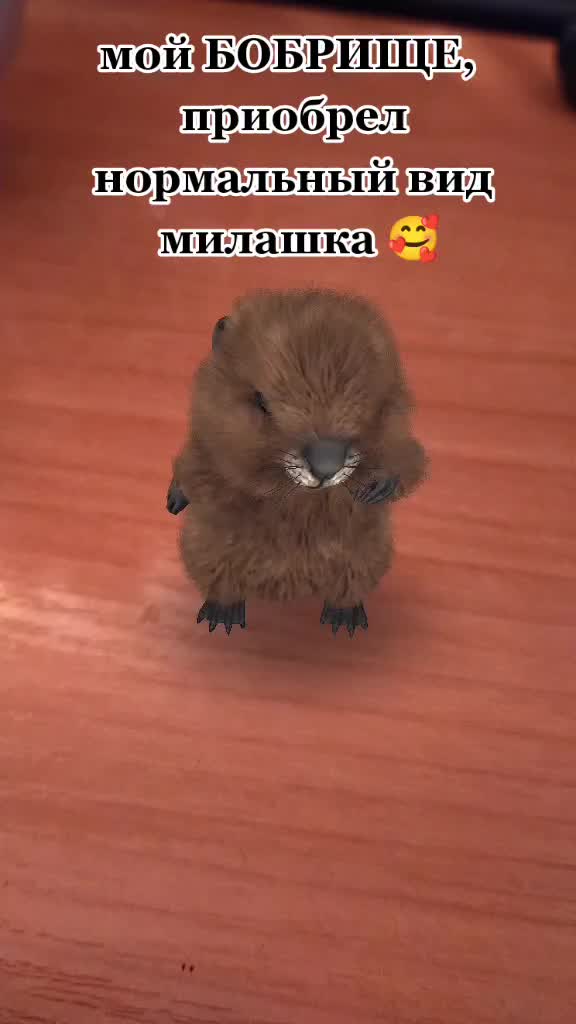 @Фантомка