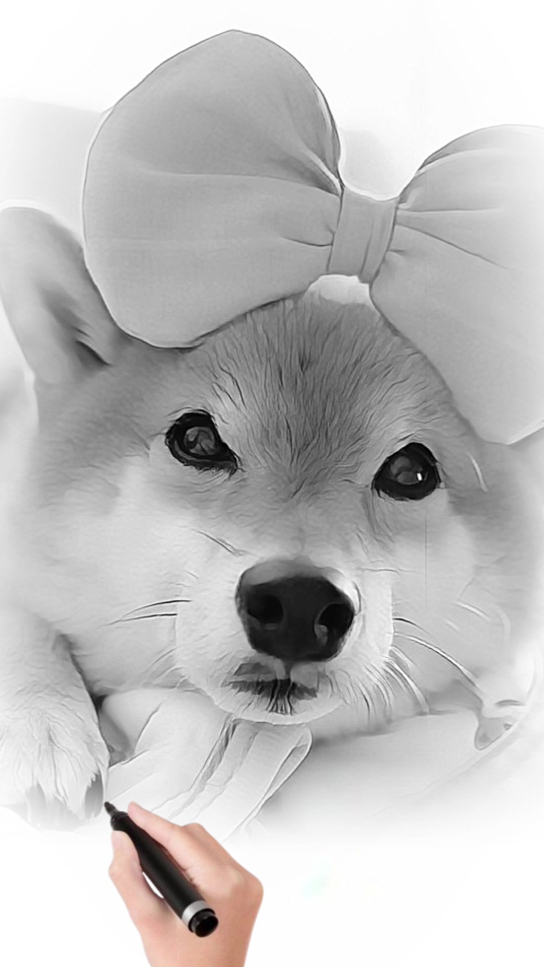 @豆助