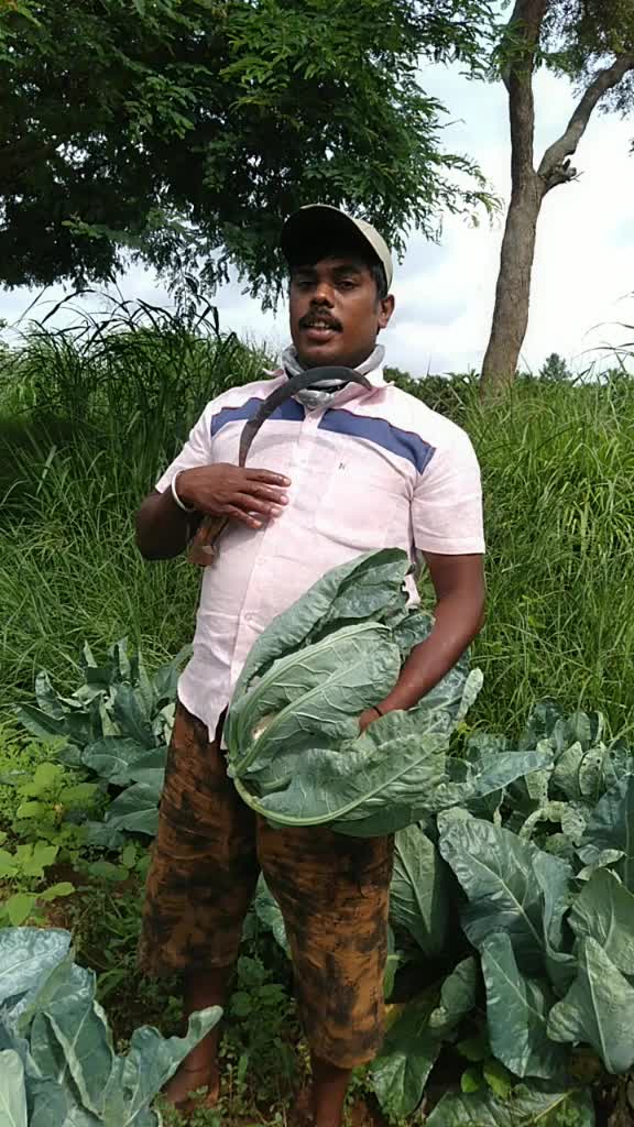 @Mala Santhosh
