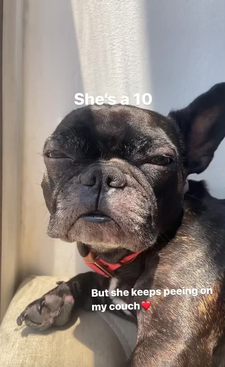 @brklz
