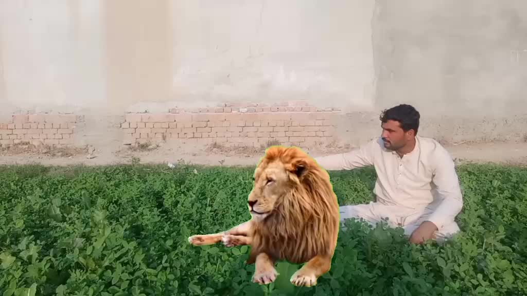 @Mr.khan121