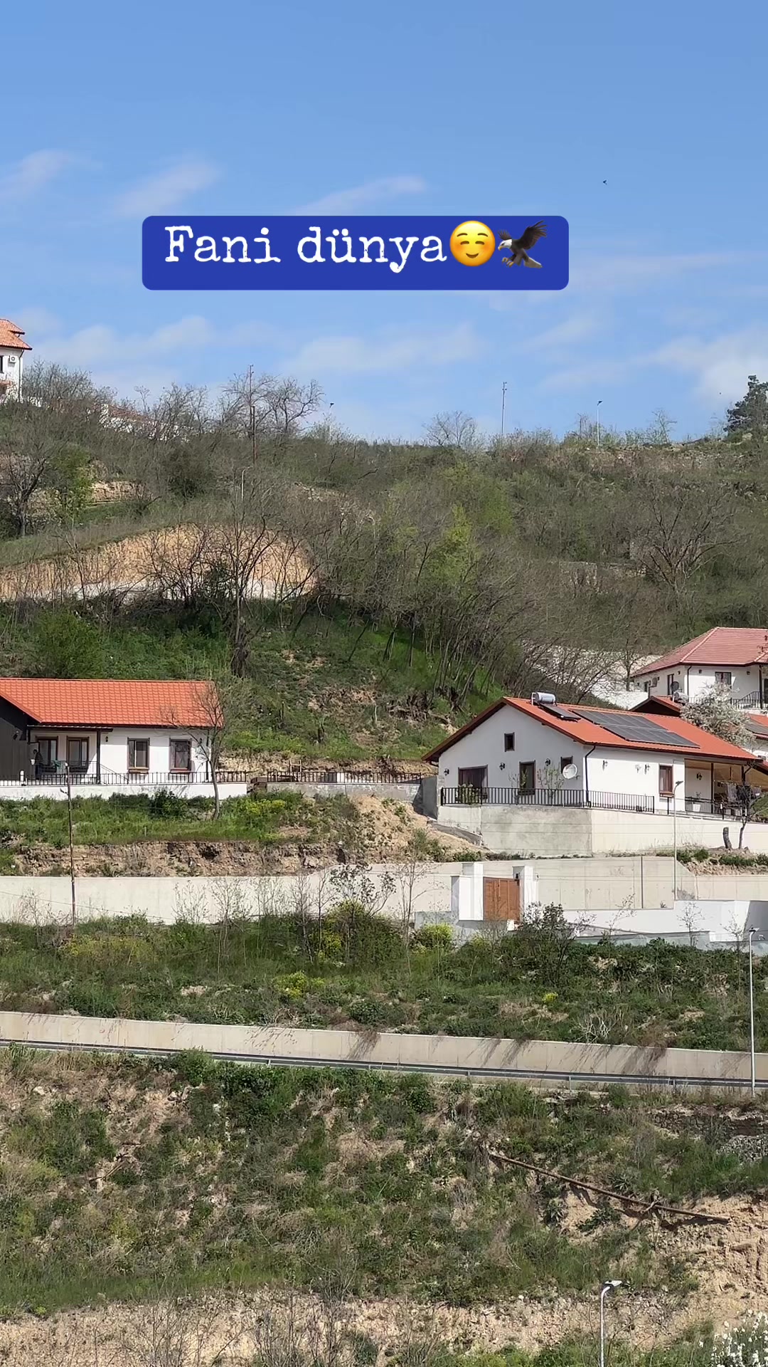 @Quiet SCORPİON🦂İP