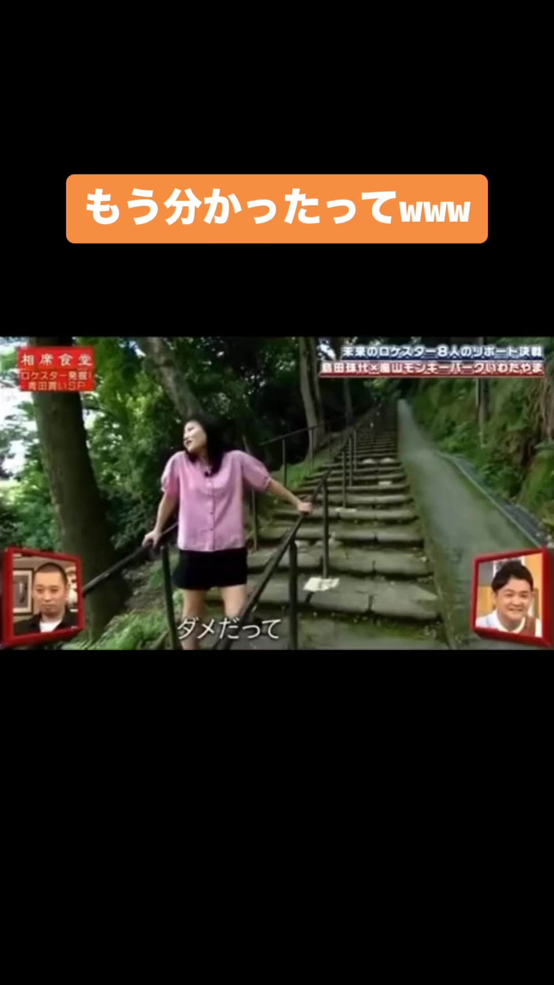@おもしろ動画