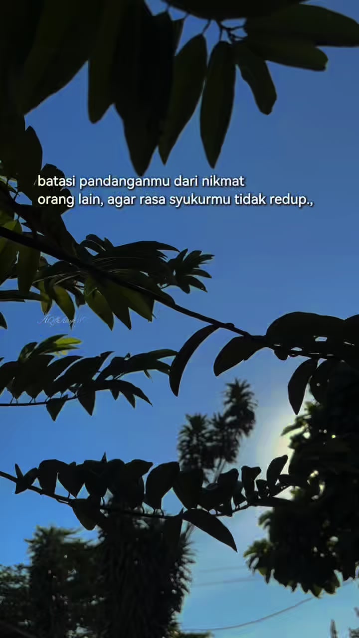 @AQilah Aisyah WT