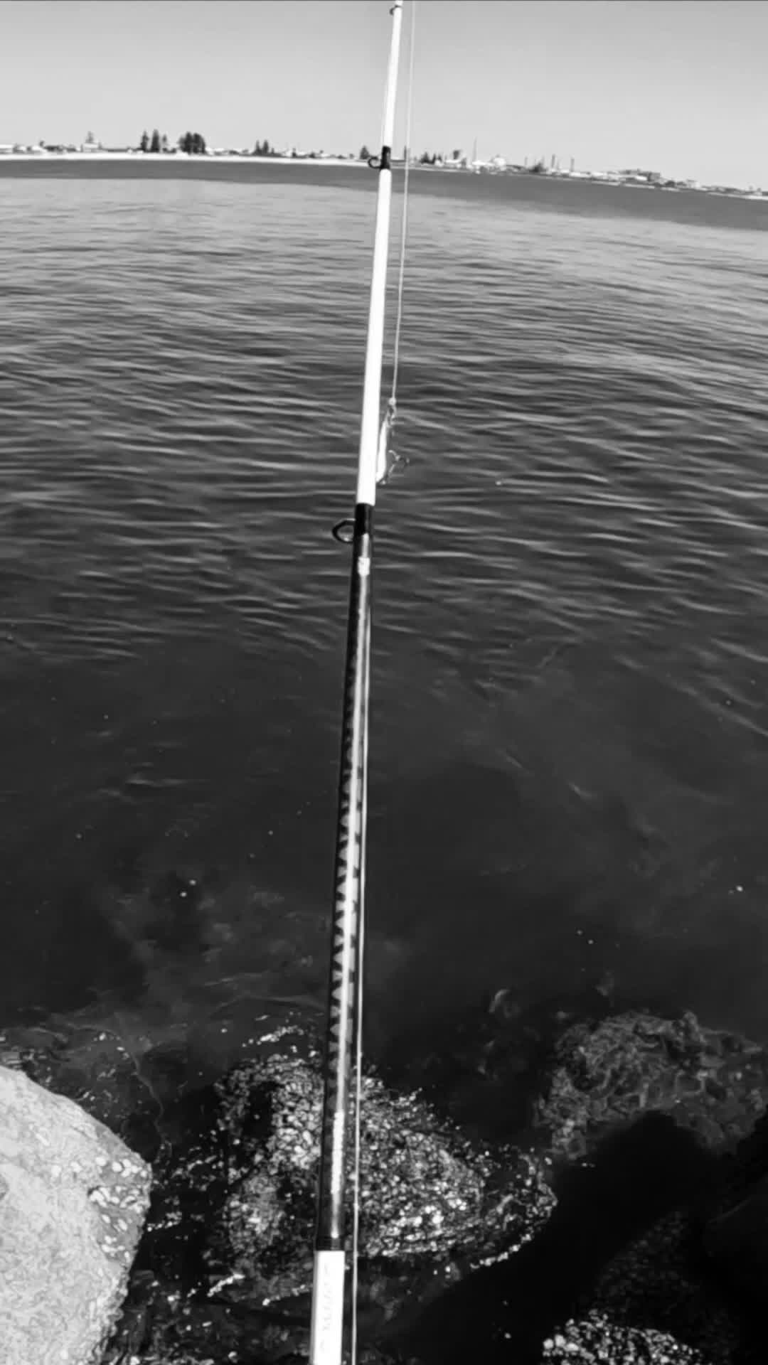 @BST Fishing
