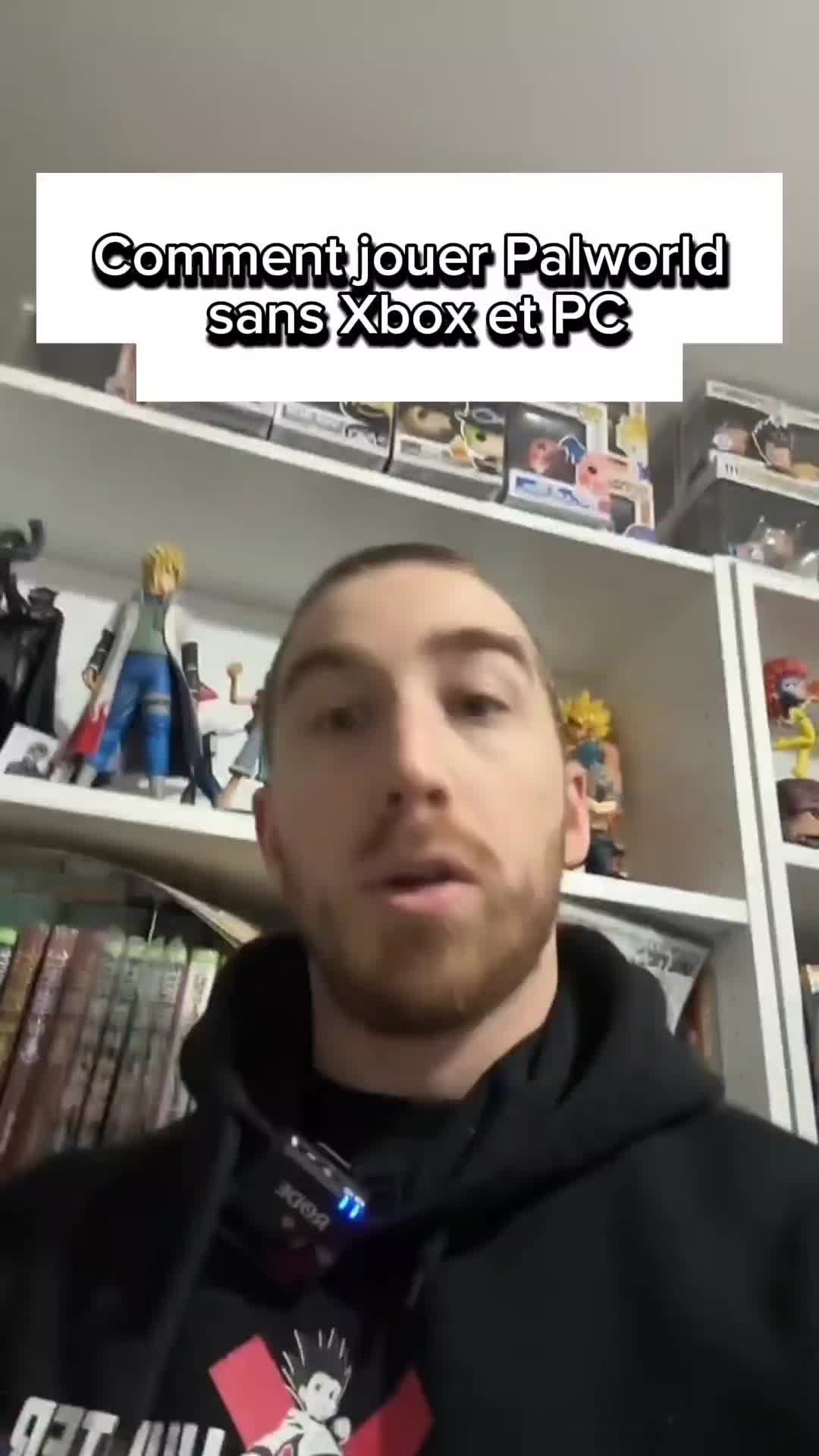 @palwordapk