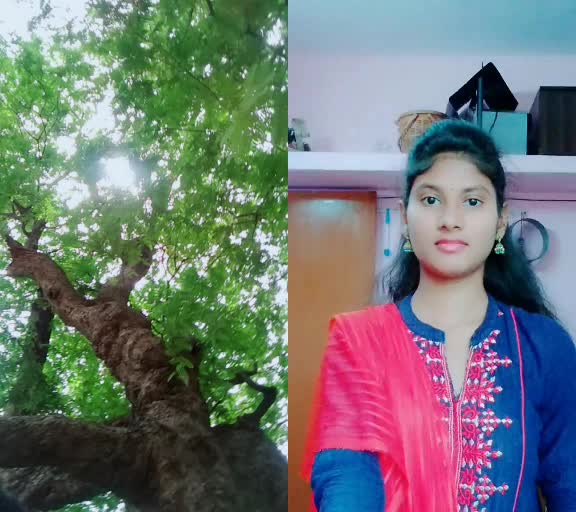 @Ganesh Dhawale GD