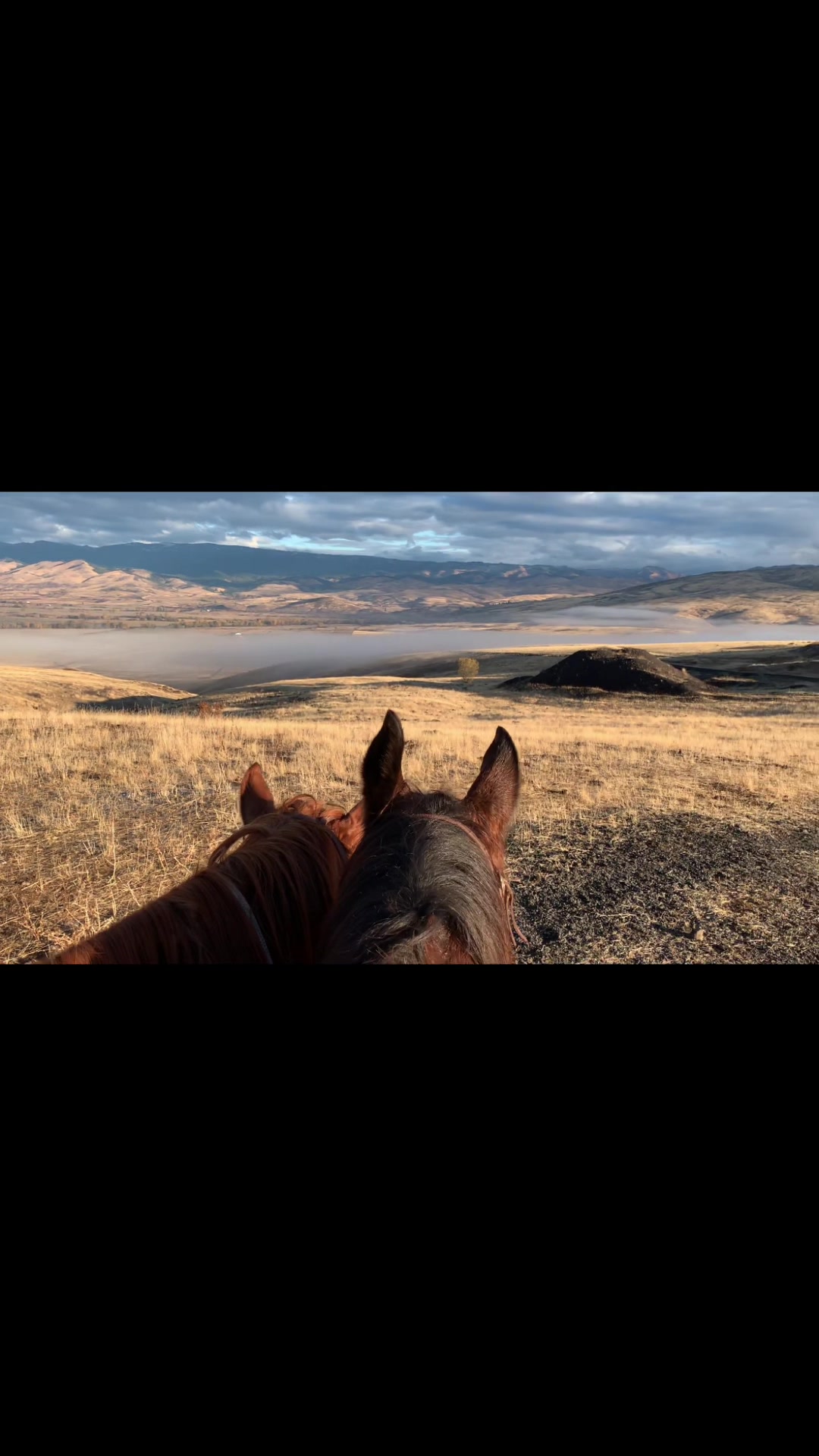 @Cowboytok