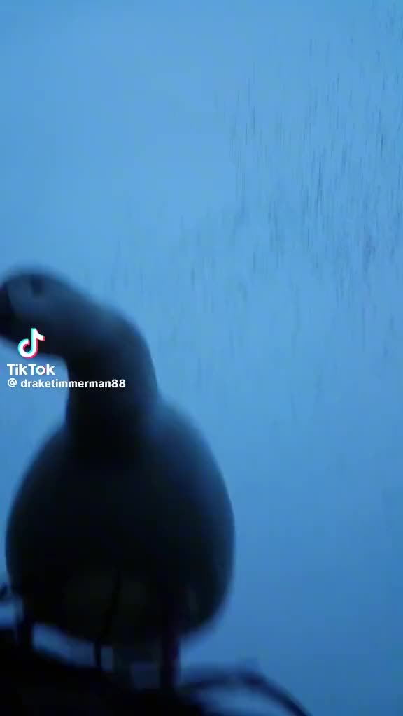 @bigduckhunter2