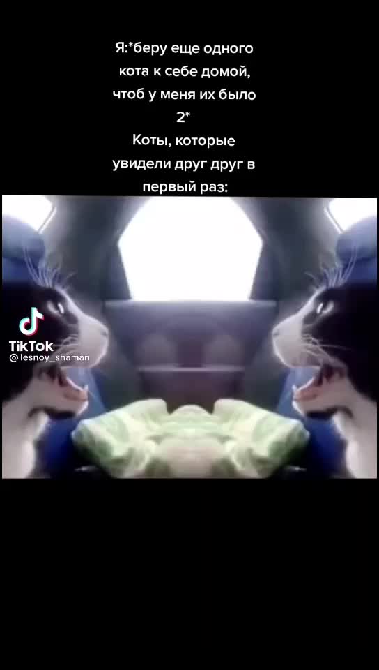 @Я расист