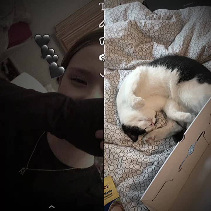@❤️🧸