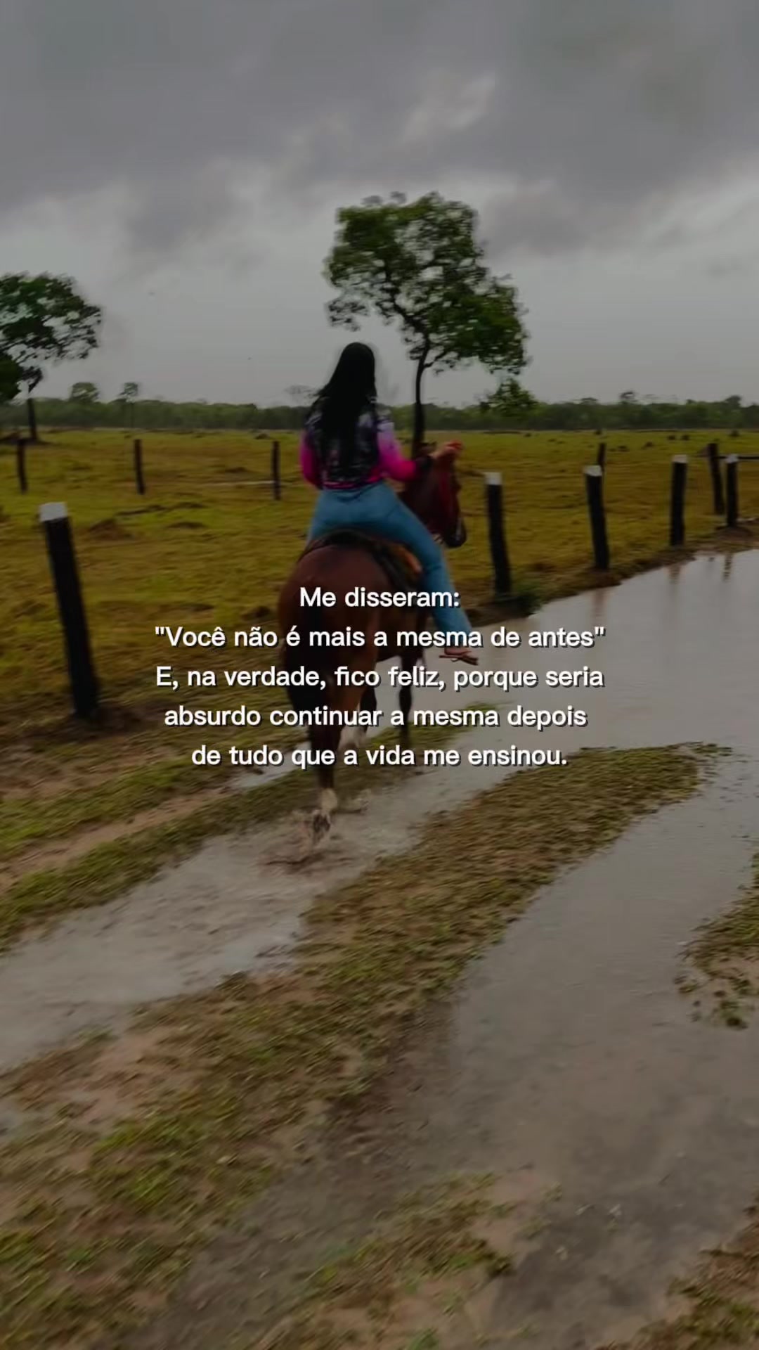 @Dhely