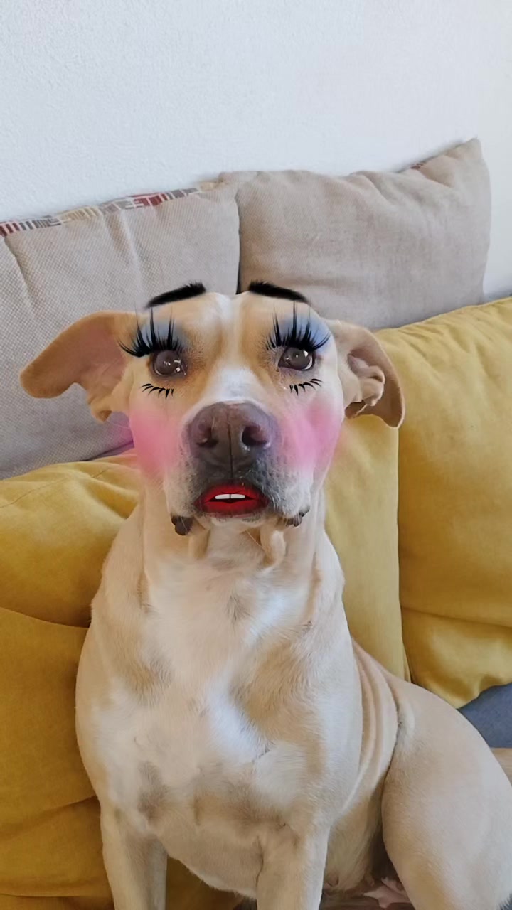 @❣️₩endyEcari☆♡🥦🍒🍉🧿🐱🐶❣️