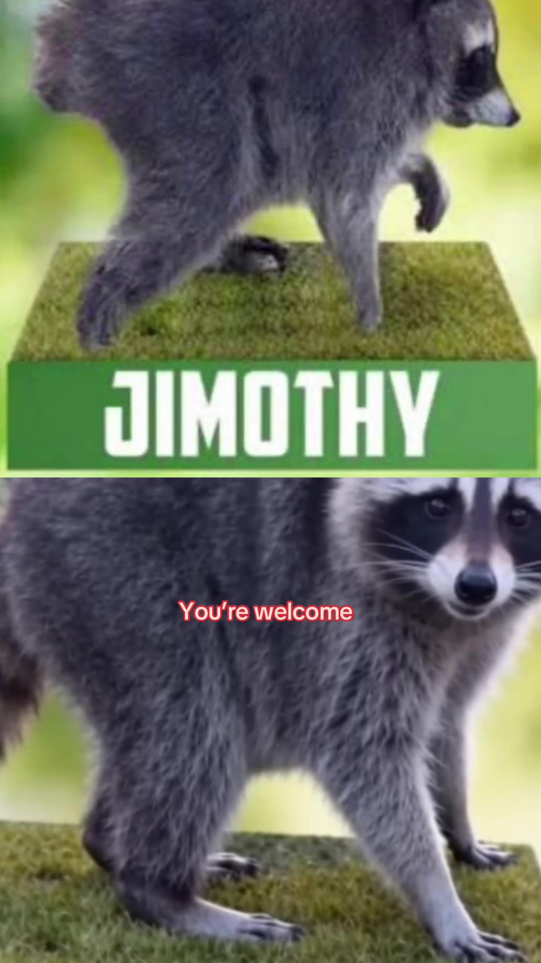 @whoopsiedaisytake2