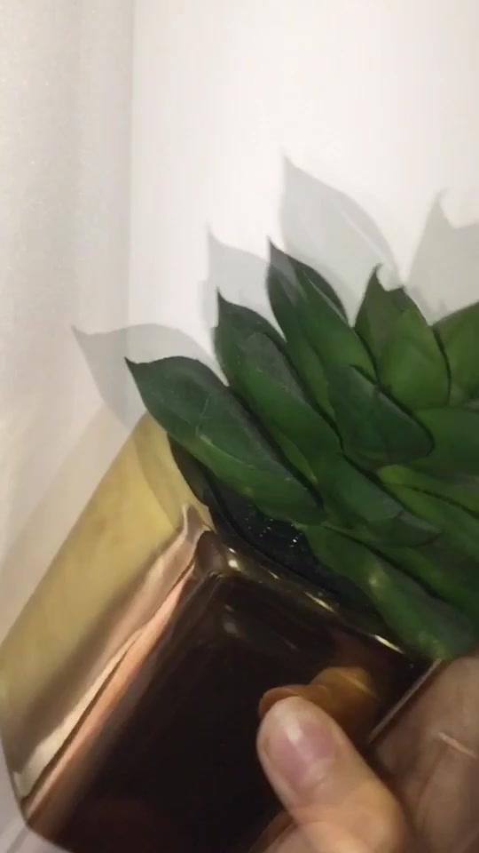 @ᗰOOᑎᒪIGᕼT