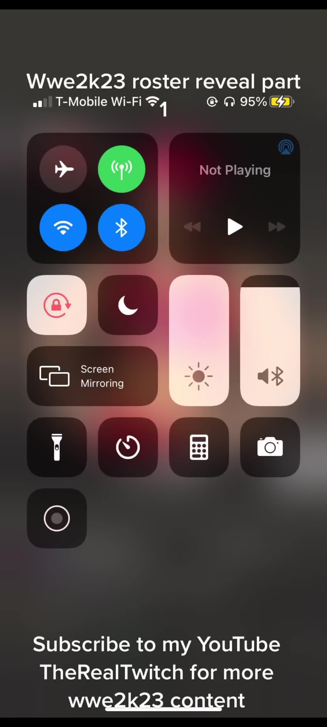 @TheRealTwitch