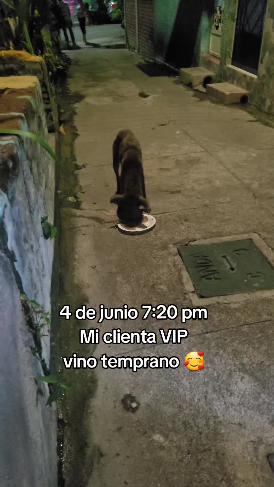 @𝕃𝕚𝕤𝕤 ℝ𝕖yes🇸🇻