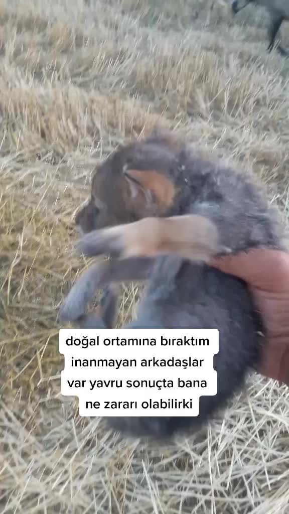 @TURGUT Ekiz 0920