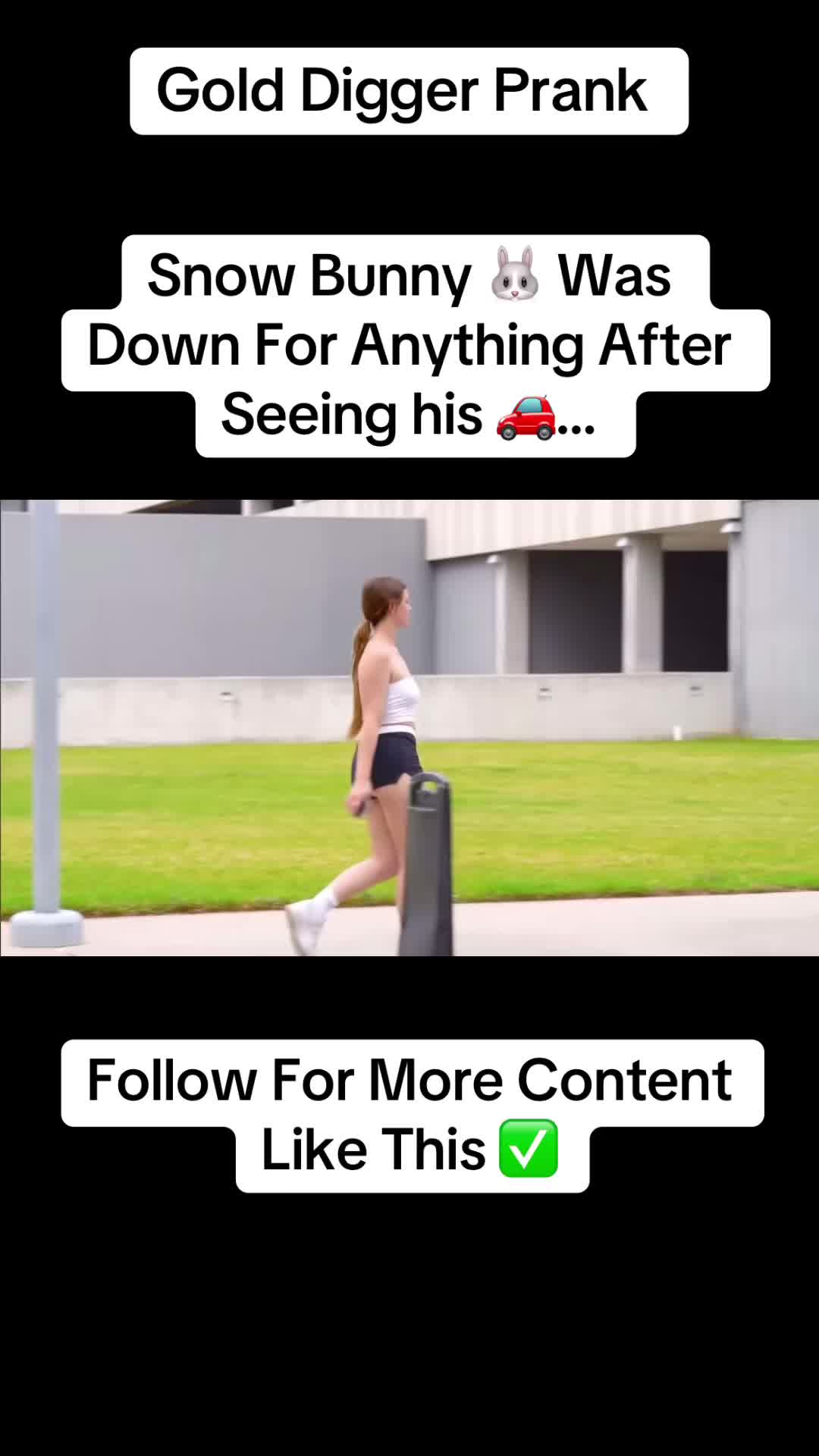 @Gold Diggers In 4k