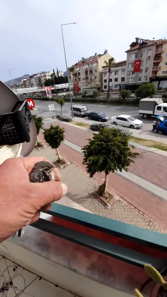 @mutlu DURUSOY