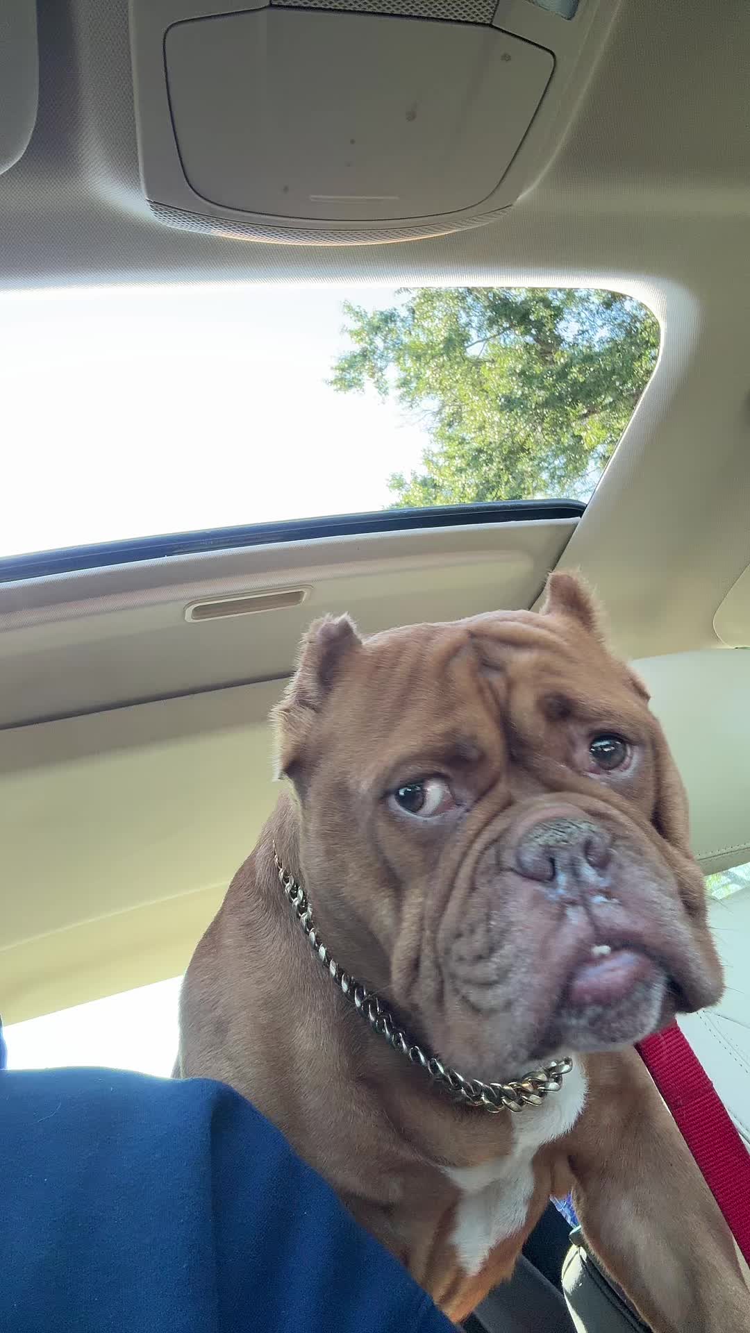 @CalleeGpaw