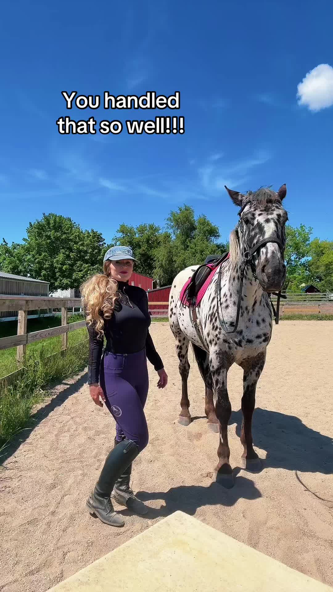 @Free Spirit Equestrian