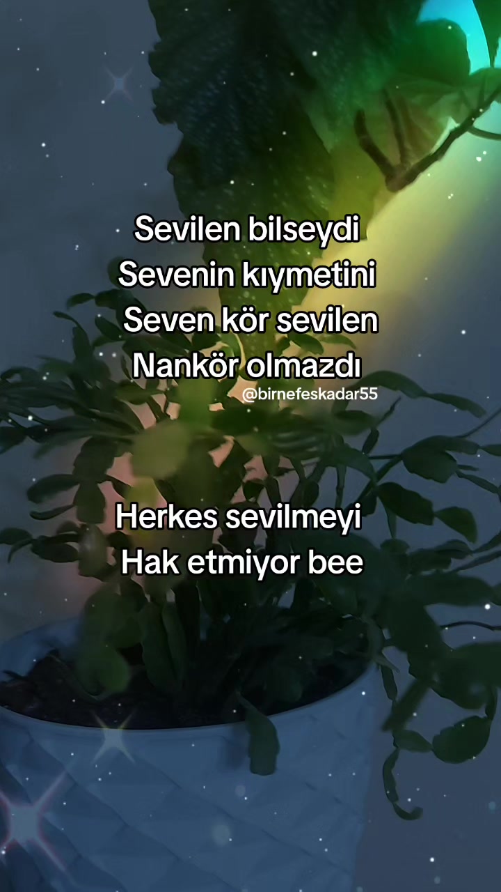 @birnefeskadar55