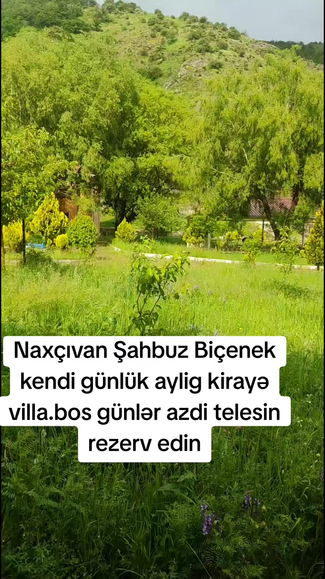 @iran_nemetleri_catdirilma_